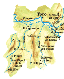 Mapa físico de la Denominación de Origen Toro