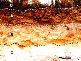 Diferentes capas del suelo a distintas profundidades