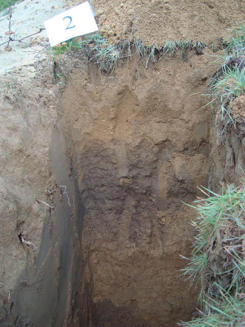 perfil de suelo arena arcilla arena
