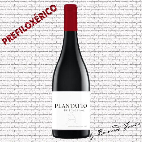 Plantatio 2019 Prefiloxerico